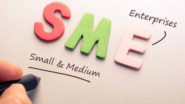 Micro-Small-and-Medium-Enterprises-MSMES-600×338
