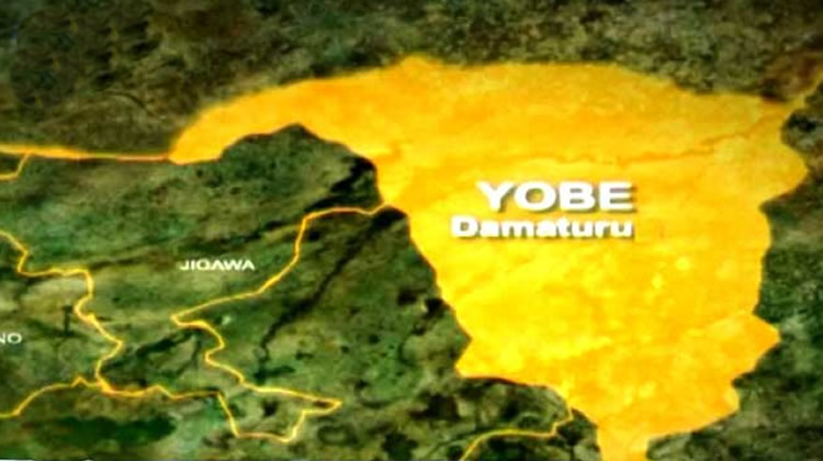Yobe State map